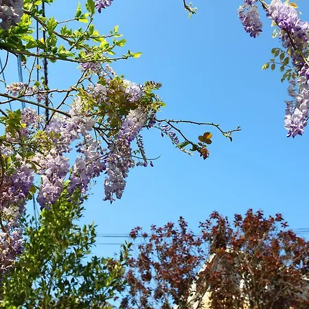 Ξενοδοχείο Record Σαν Σεμπαστιάν