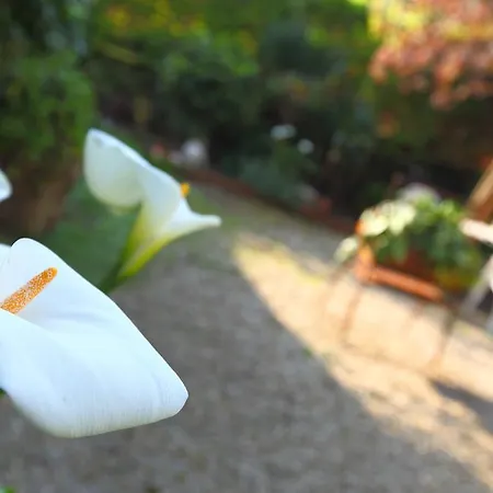 Record Hotel San Sebastián