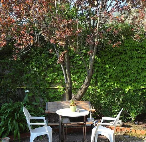 Record Сан-Себастьян