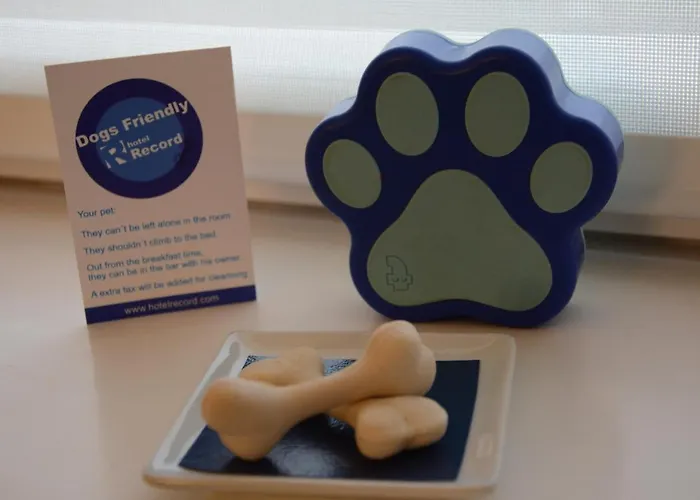 Отель Record Сан-Себастьян