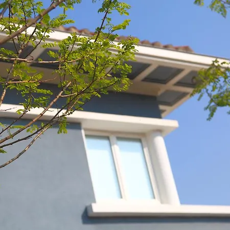 Record * San Sebastián