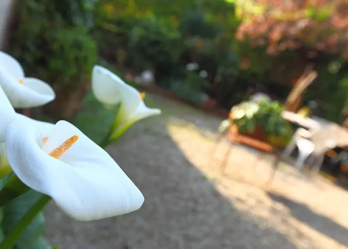 Record Hotel San Sebastián